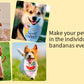 AIITLE Dog Cooling Bandanas - 4 Pack Summer Breathable Washable | AIITLE
