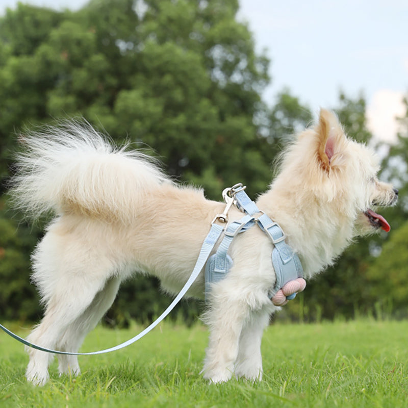 Aiitle Cute 3D Flower Breathable Dog Harness