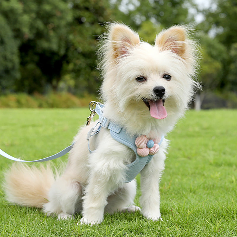 Aiitle Cute 3D Flower Breathable Dog Harness