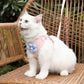 Aiitle Cute 3D Flower Breathable Dog Harness