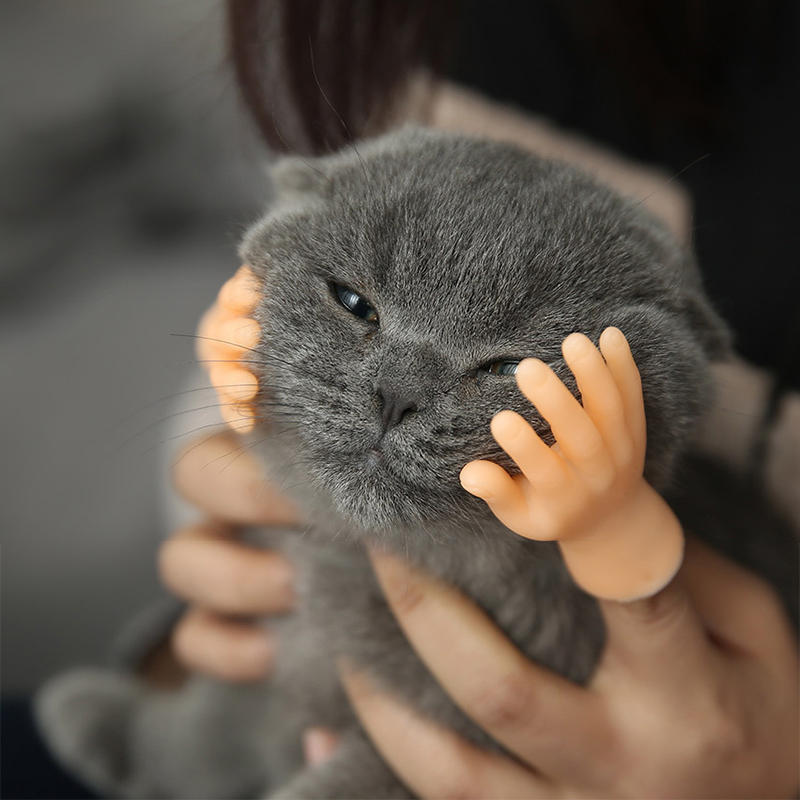 Aiitle Funny Mini Hand Cat Massage Toy