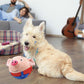 Aiitle Interactive Plush Jumping Talk Pet Toys