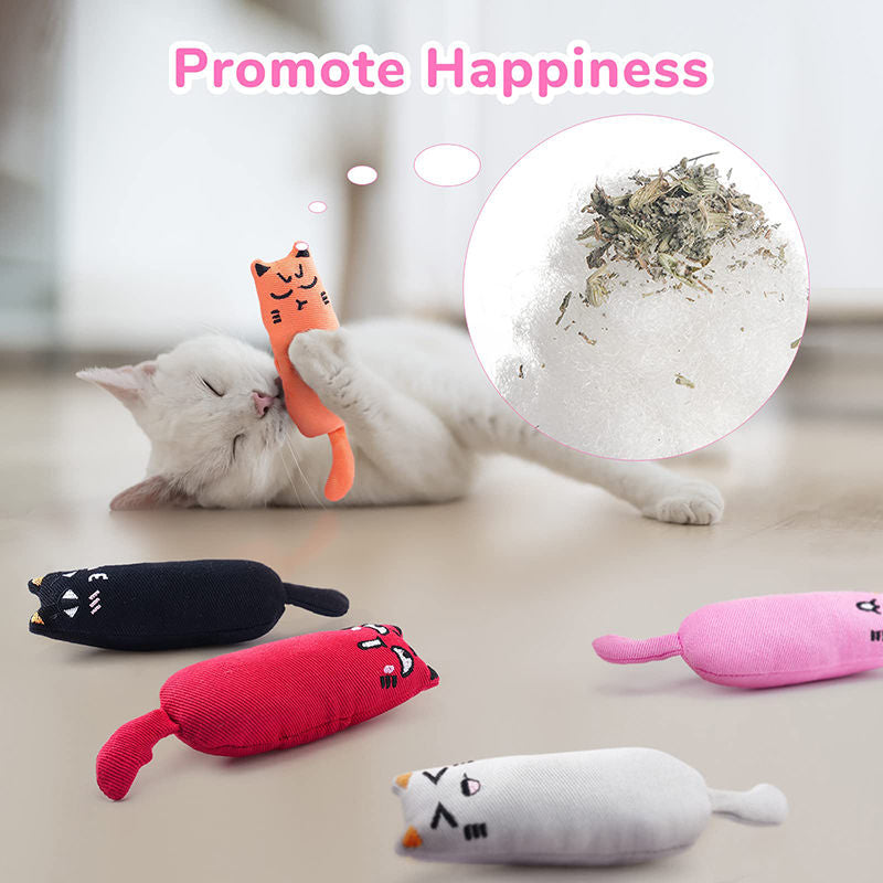 Aiitle Funny Cartoon Cat Chew Toys 5 Pcs Set